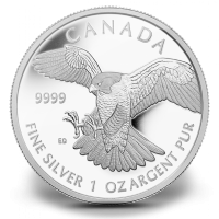 RCM Birds of Prey Series Silver Coins