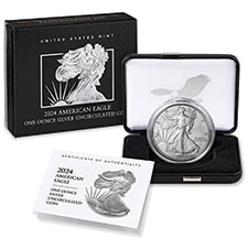 Burnished American Silver Eagle Coins